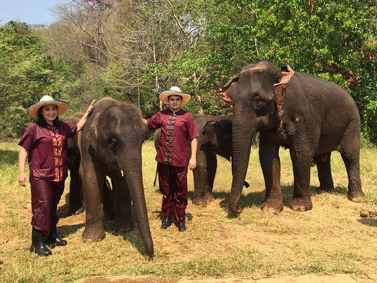 Elephant Rescue Park